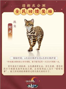 天龙八部私服极